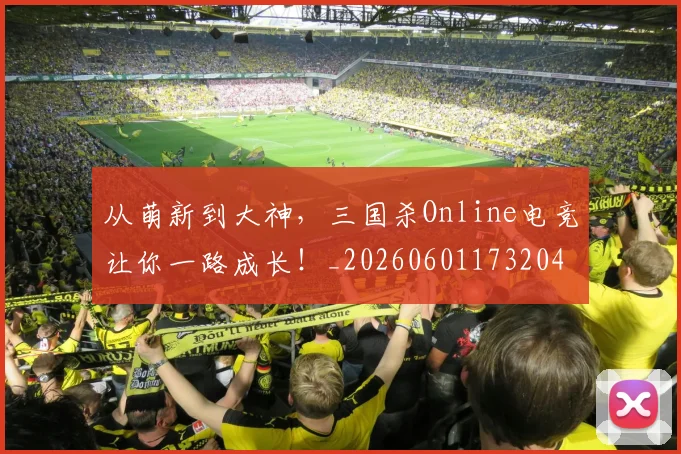 从萌新到大神，三国杀Online电竞让你一路成长！_20260601173204